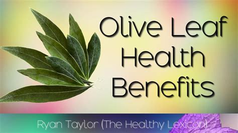 Olive Leaf Good For You