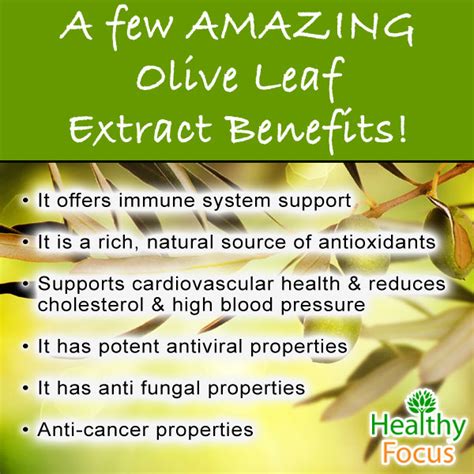 Olive Leaf Supplements Benefits