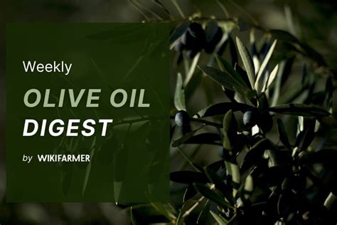 Olive Tree Digest