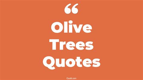 Olive Tree Quotes Wisdom