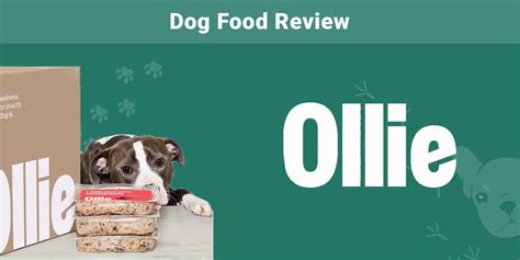 ollie dog food rating