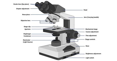 Olympus Microscope Parts And Functions
