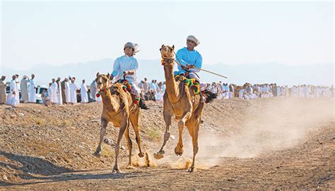oman camel racing federation