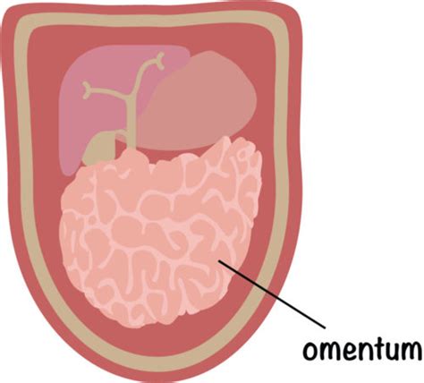 omentum removal