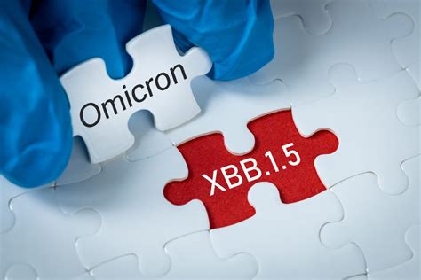 omicron xbb.1.5 subvariant