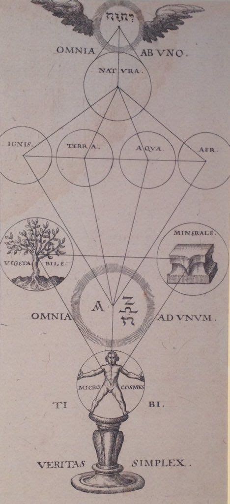 omnia ab uno translation