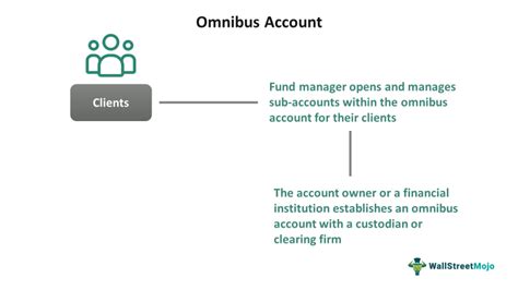 omnibus account example