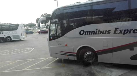 omnibus express mcallen