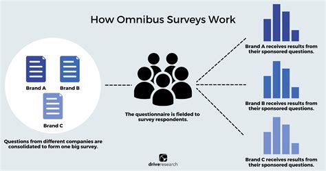 omnibus market research surveys