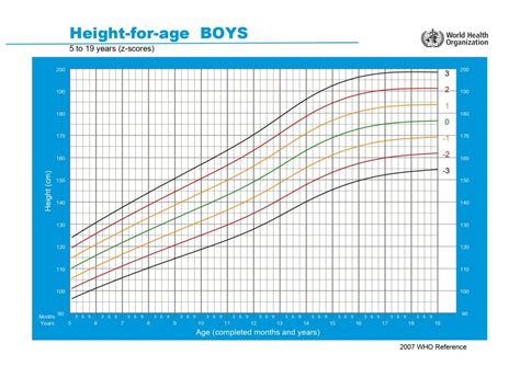 oms growth charts 5-19