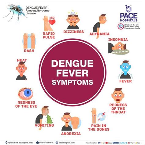 on and off fever dengue