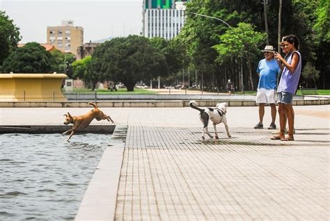 onda de calor em porto alegre