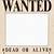 one piece wanted posters template