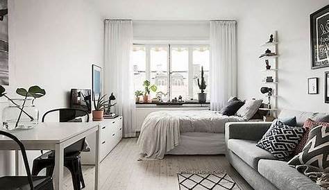 One Room Apartment Design Ideas