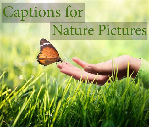 8 Words for Nature Lovers Nature lover quotes, One word caption, Word