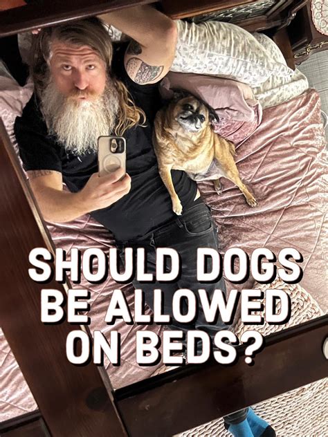 One Bedroom Dogs Allowed