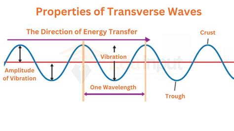 one example of a transverse wave