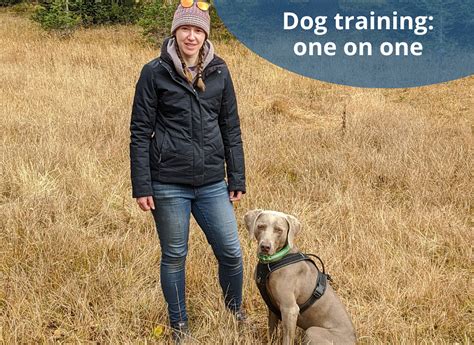 one on one dog training perth