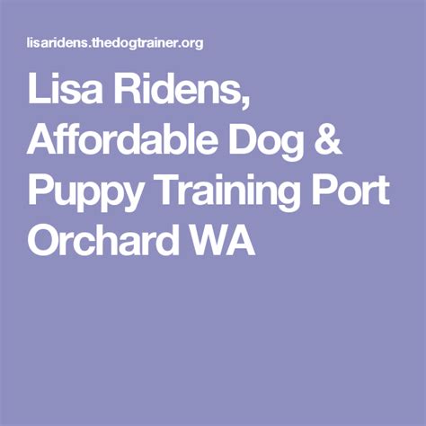 one on one dog training port orchard wa