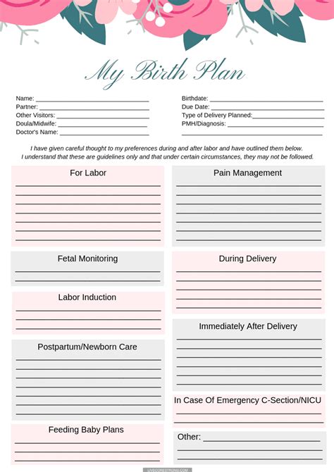one page birth plan