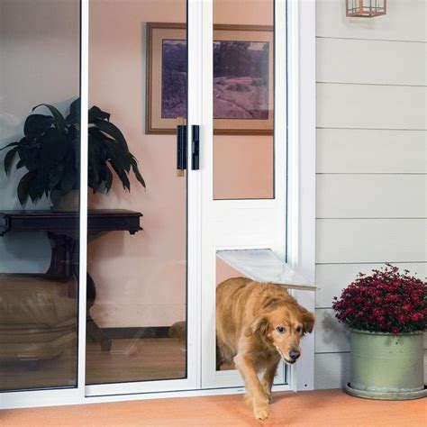 one pane sliding glass door and dog door