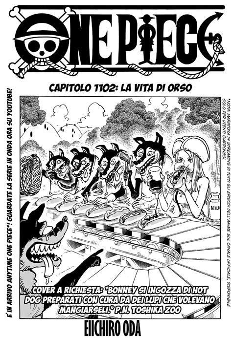 one piece cap 1102 ita