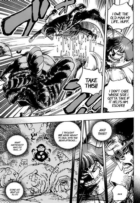 one piece chapter 1091 manga online
