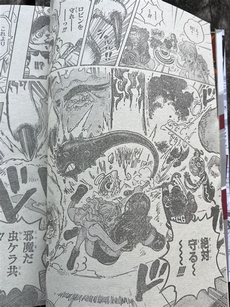 one piece scan sortie