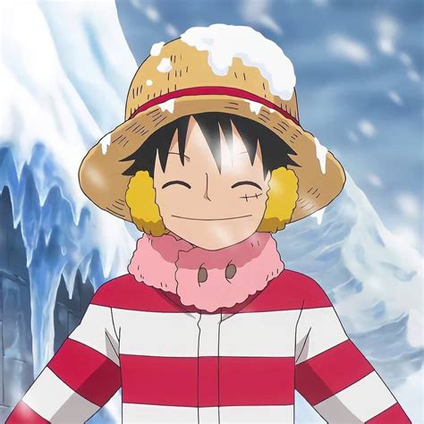 One Piece Winter Matching Pfp