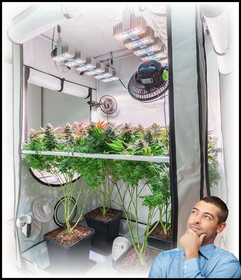 one plant grow room