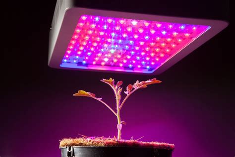 one plant led grow light