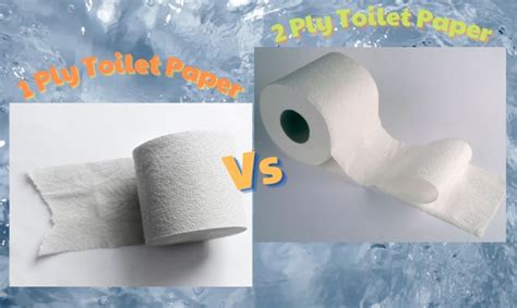 one ply toilet paper meaning