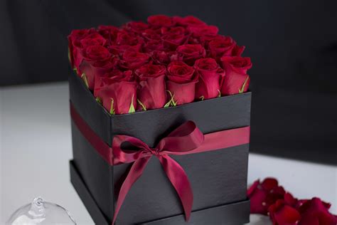 one red rose in a box