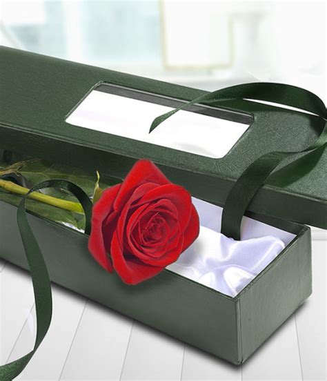 one red rose in a box