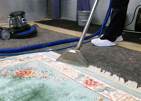 one room carpet cleaning brisbane