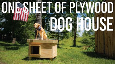 one sheet of plywood dog house