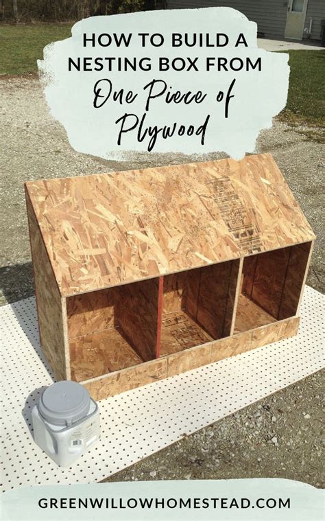 one sheet plywood chicken boxes