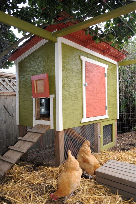 one sheet plywood chicken coop