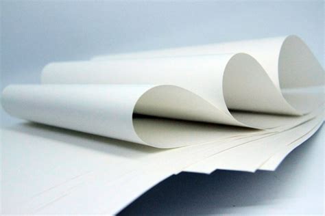 one side coated paper is called