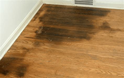 one spot on hardwood makes metal clanging noise
