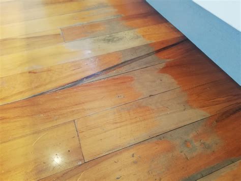 one spot on hardwood makes metal clanking noise