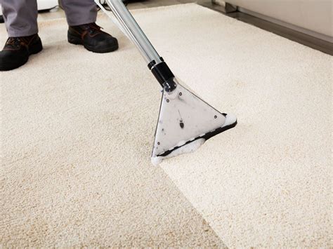 one stop carpet cleaner