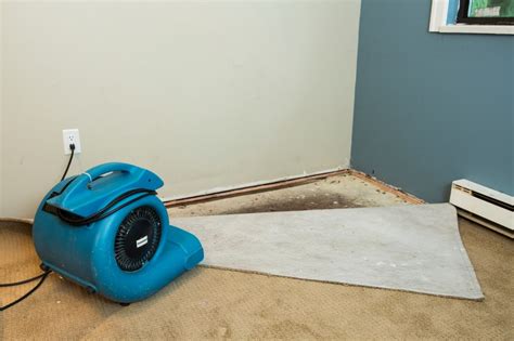 one stop carpet cleaning northville mi