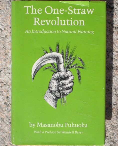 Cool One Straw Revolution Summary 2023