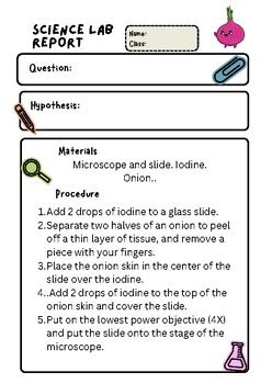 Onion Cell Experiment Lab Report