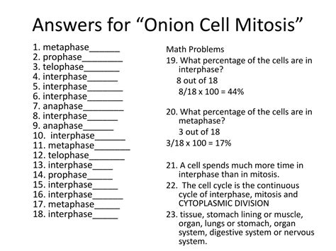 onion cell mitosis worksheet answers biology corner