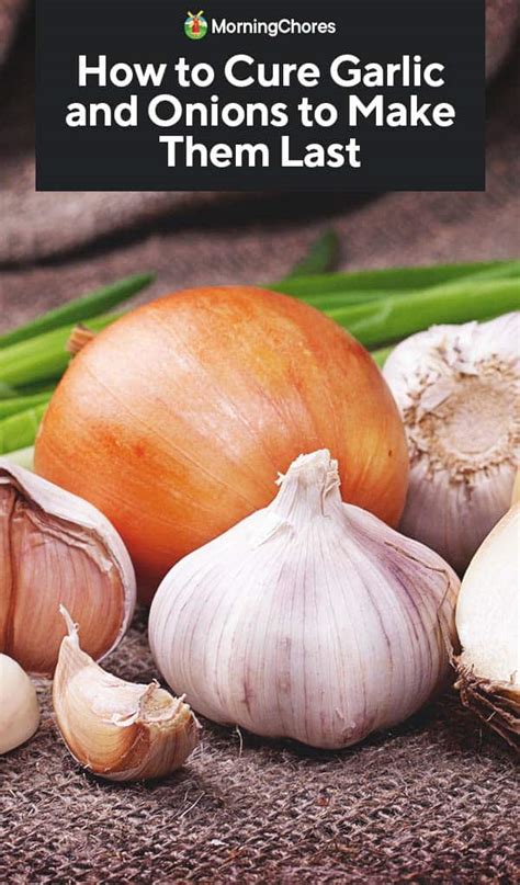 Onion Garlic Headache