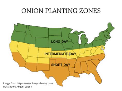Onion Growing Zone Map