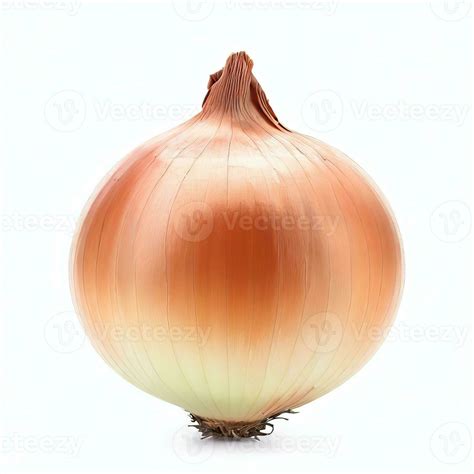 Onion Head Meaning
