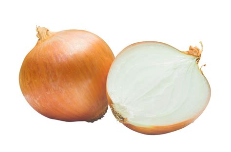 Onion Image
